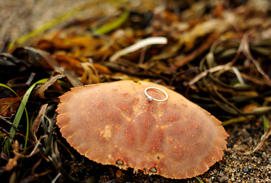 engagement ring on a crab shell
