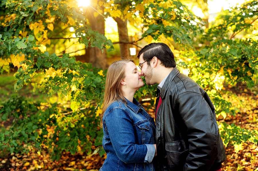 arnold arboretum engagement photos