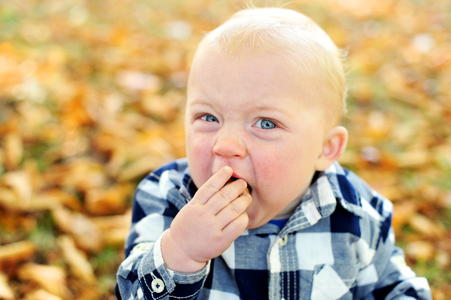 portland, maine baby photos