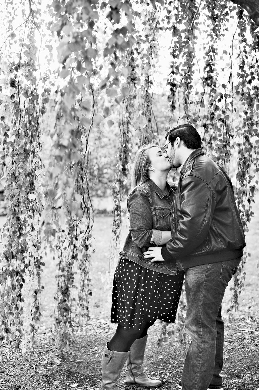 arnold arboretum engagement photos