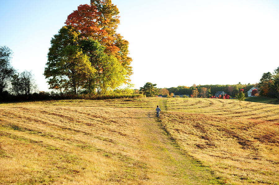 fuller farm in scarborough, maine