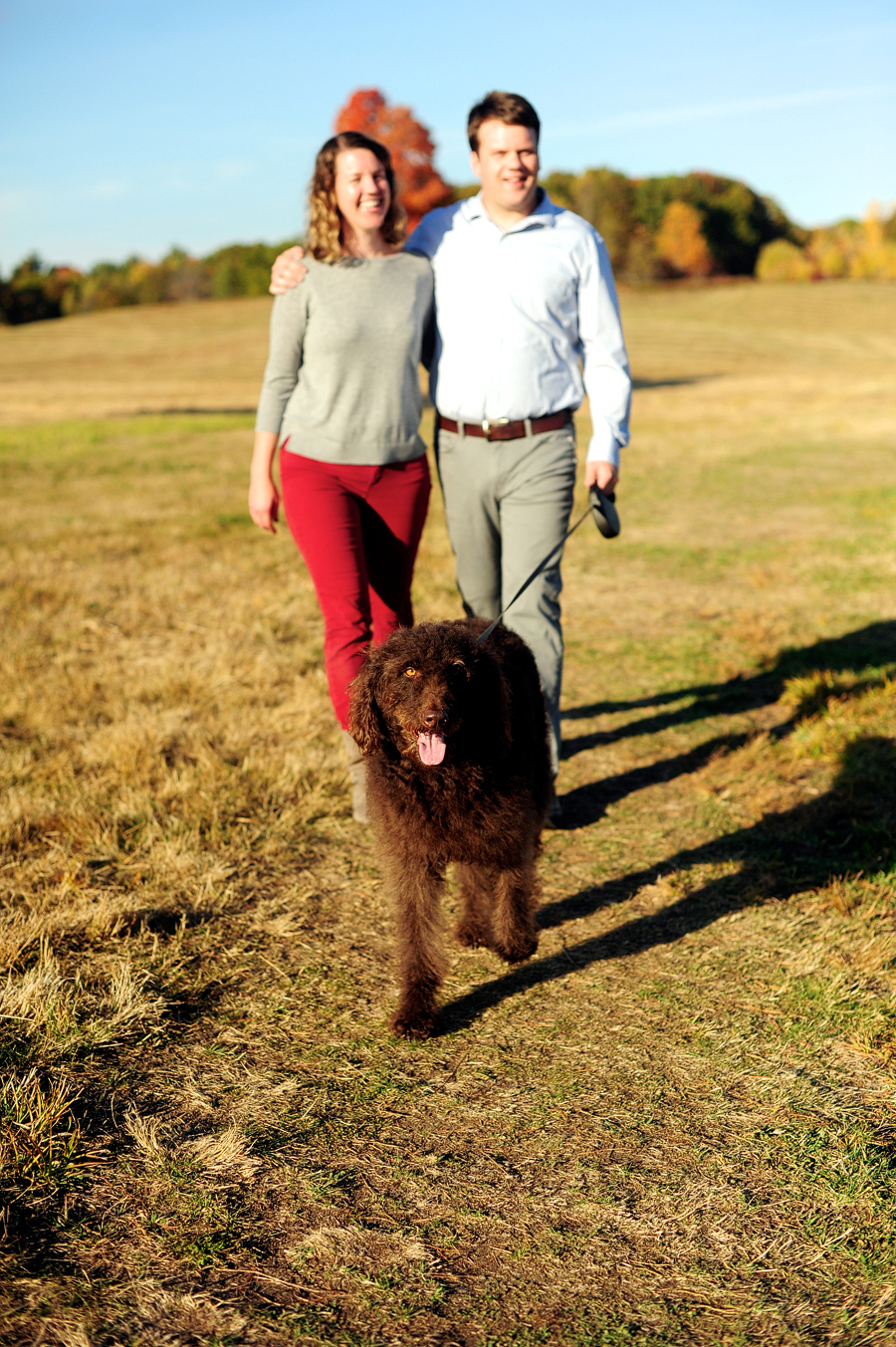 engagement photos with your dog in scarborough, maine