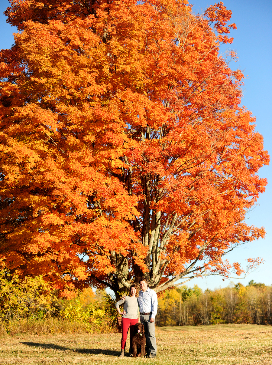 fuller farm engagement session