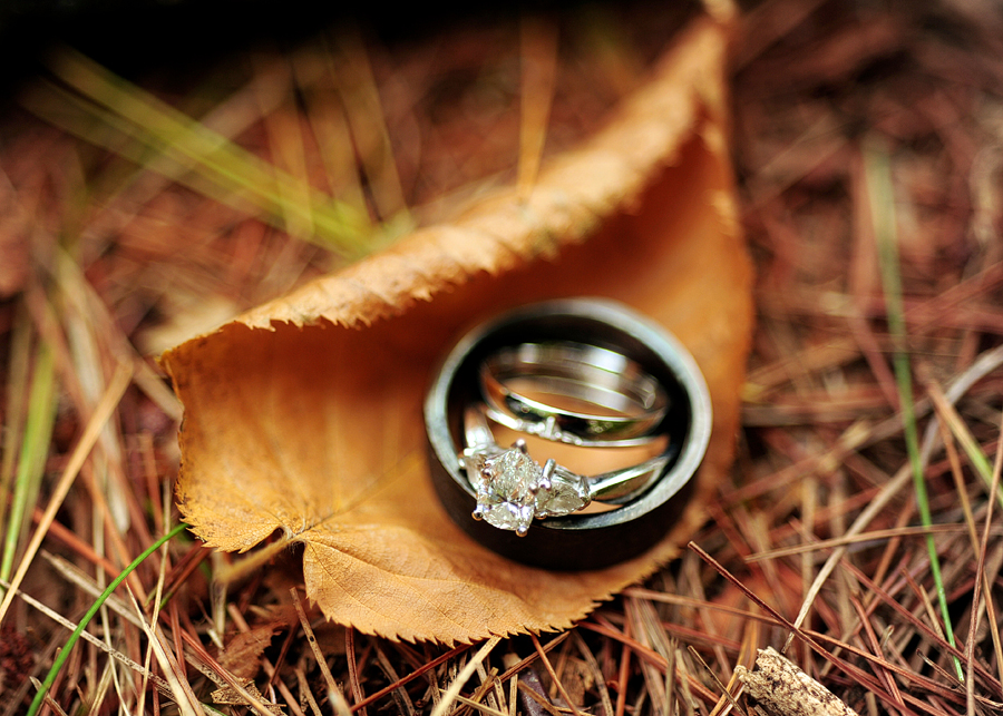 wedding rings on fall leaves