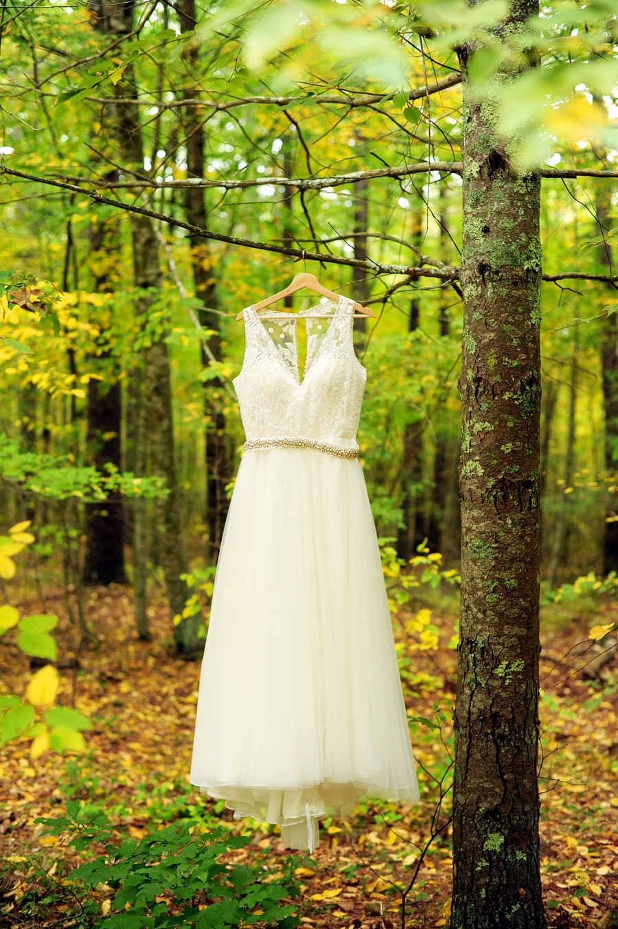 wedding dress hanging in the woods