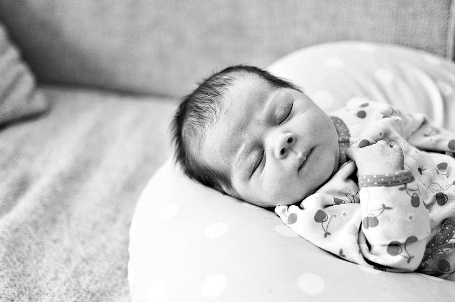 newborn family shoot in portland, maine