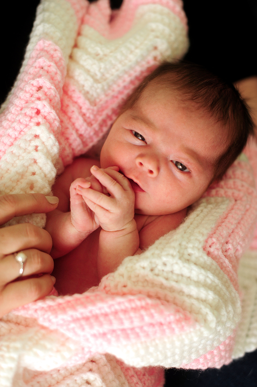 portland, maine newborn photos