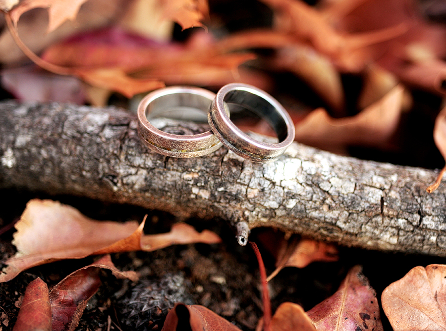 wedding rings in foliage