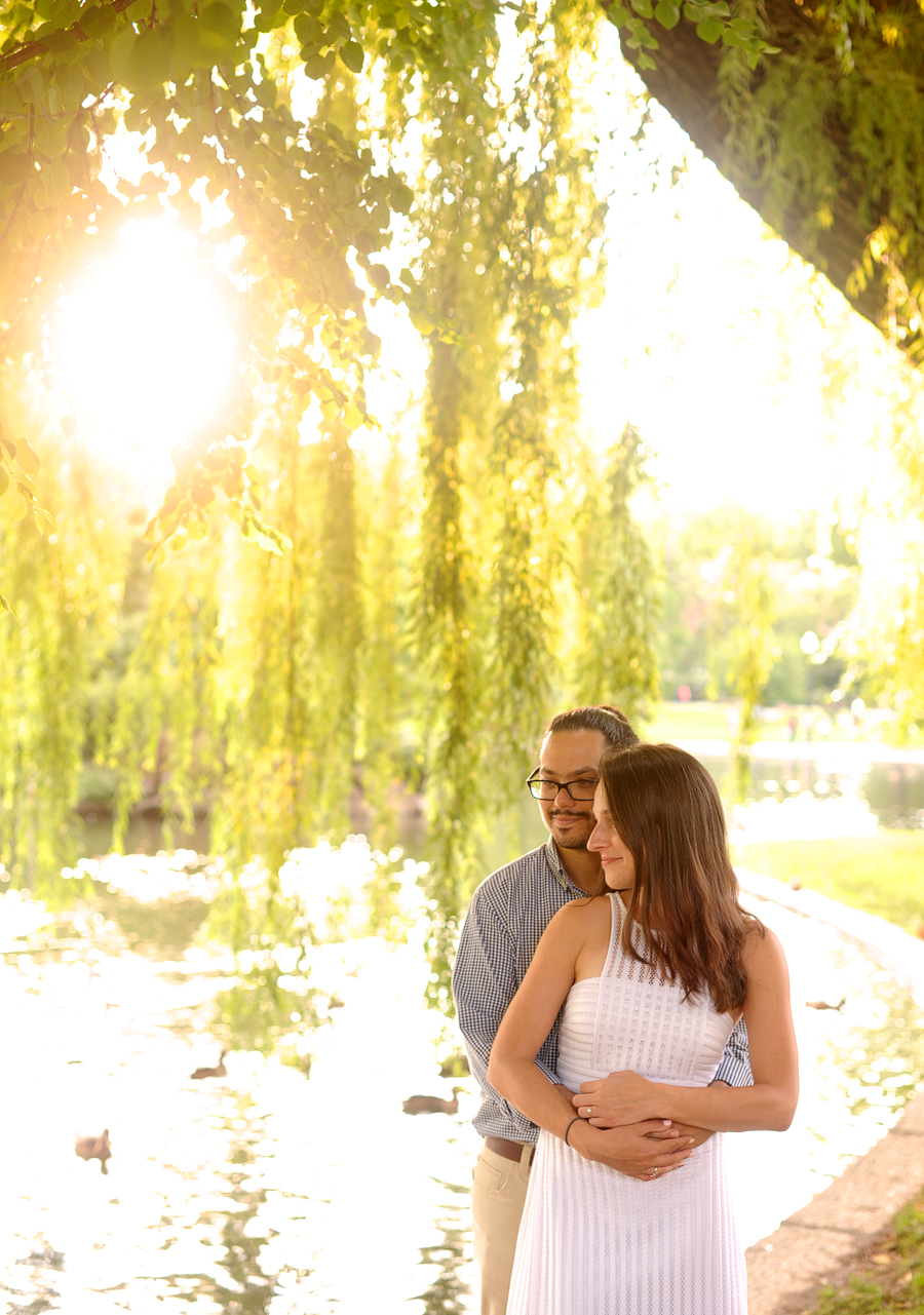 charles river esplanade engagement session