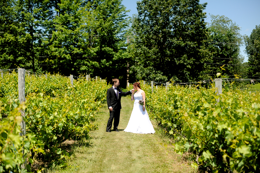 wedding at nashoba valley winery