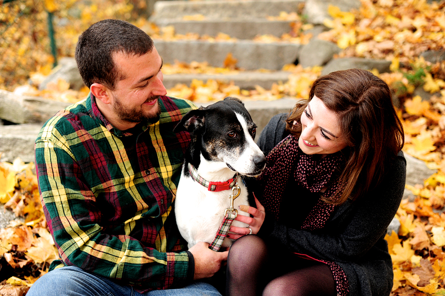 portland, maine dog photographer