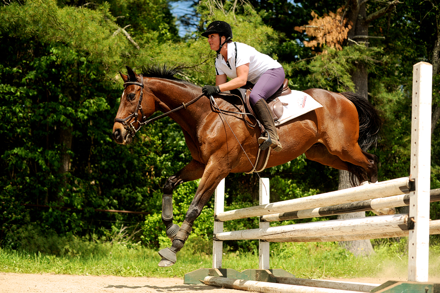 maine equestrian photography