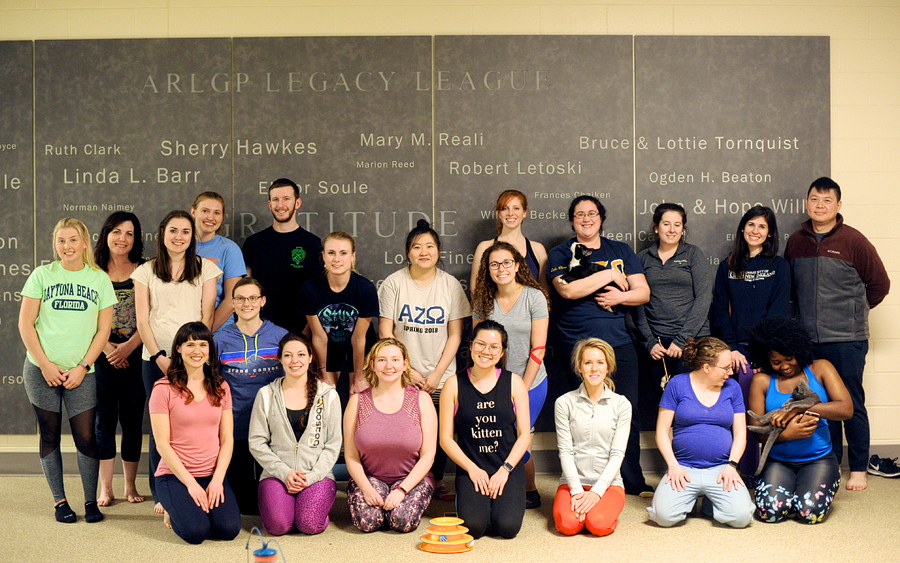 kitten yoga for maine's animal refuge league