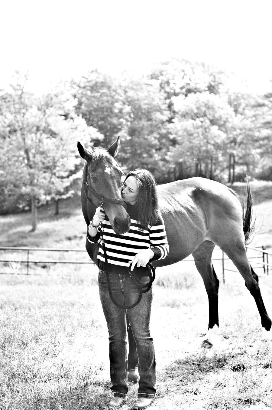 maine equine photography