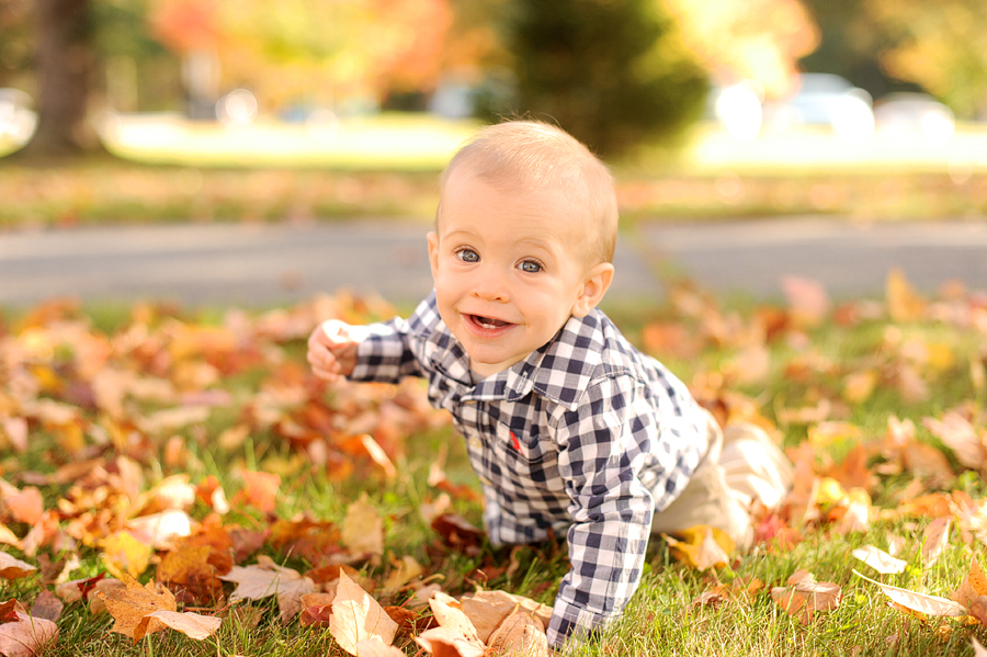 pineland farms family session