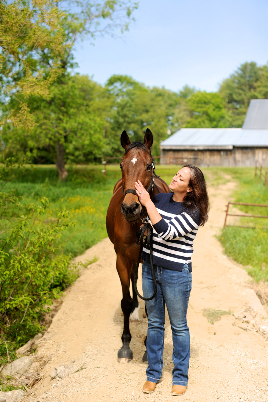 maine equestrian photography