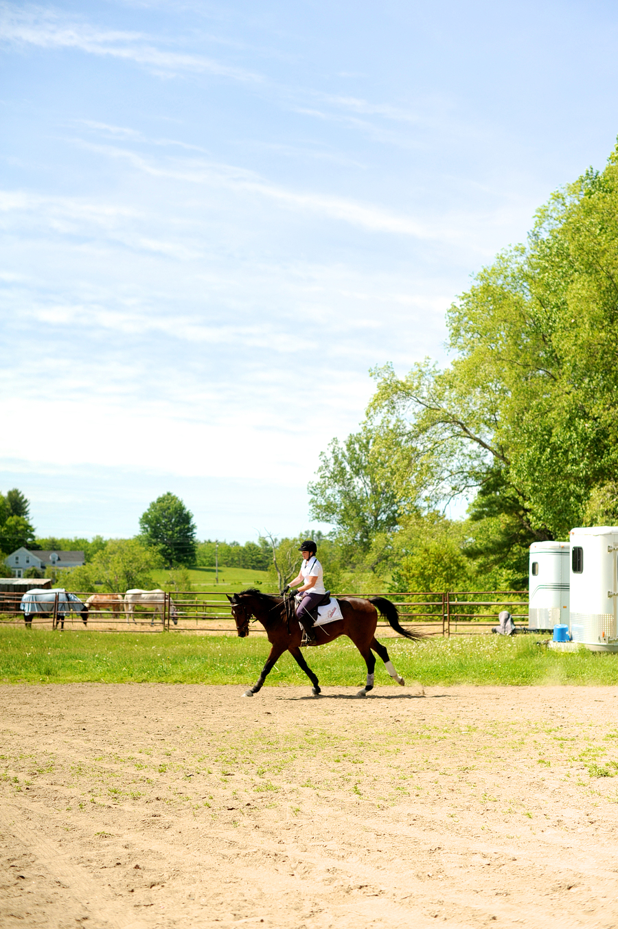 swan brook equestrian center