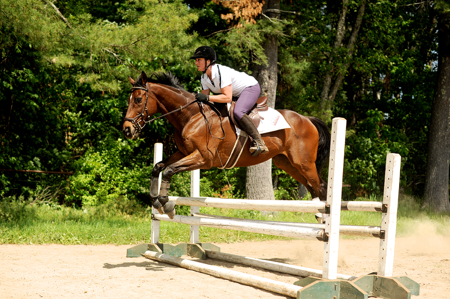 maine equestrian photography