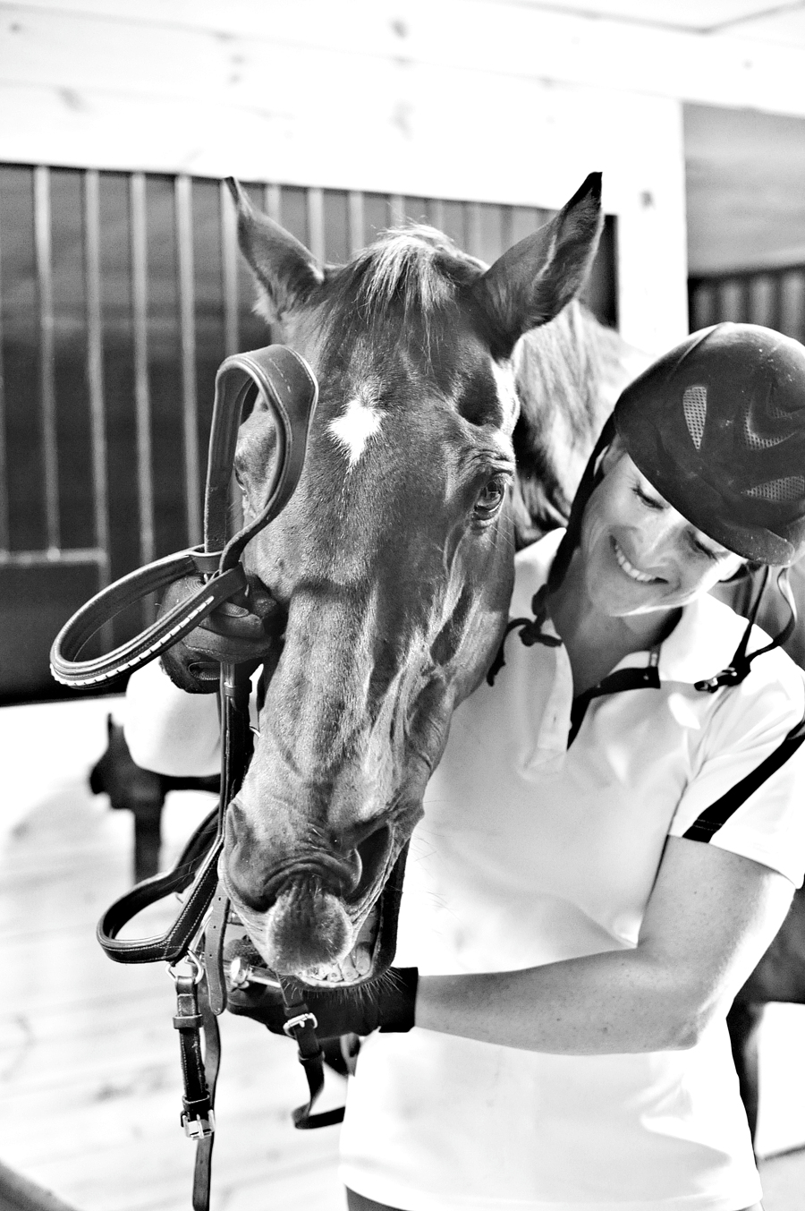 maine equestrian photography