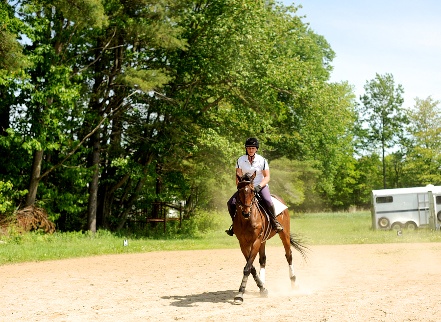 swan brook equestrian center