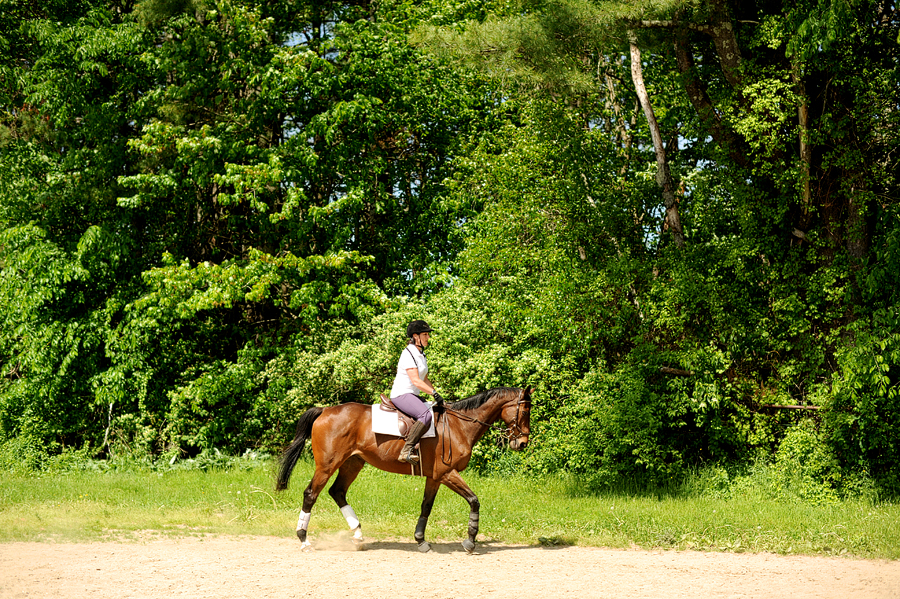 swan brook equestrian center