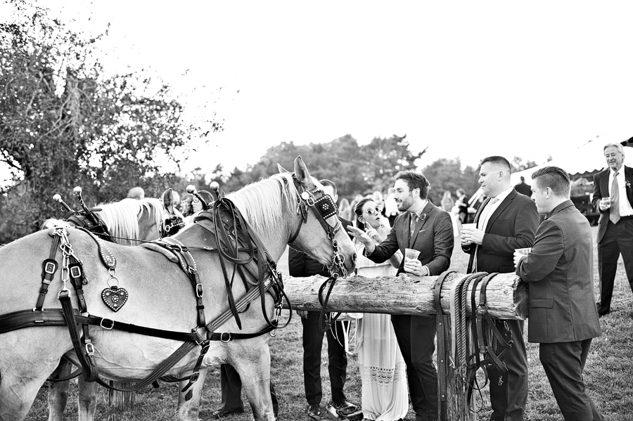 belgian meadows farm wedding