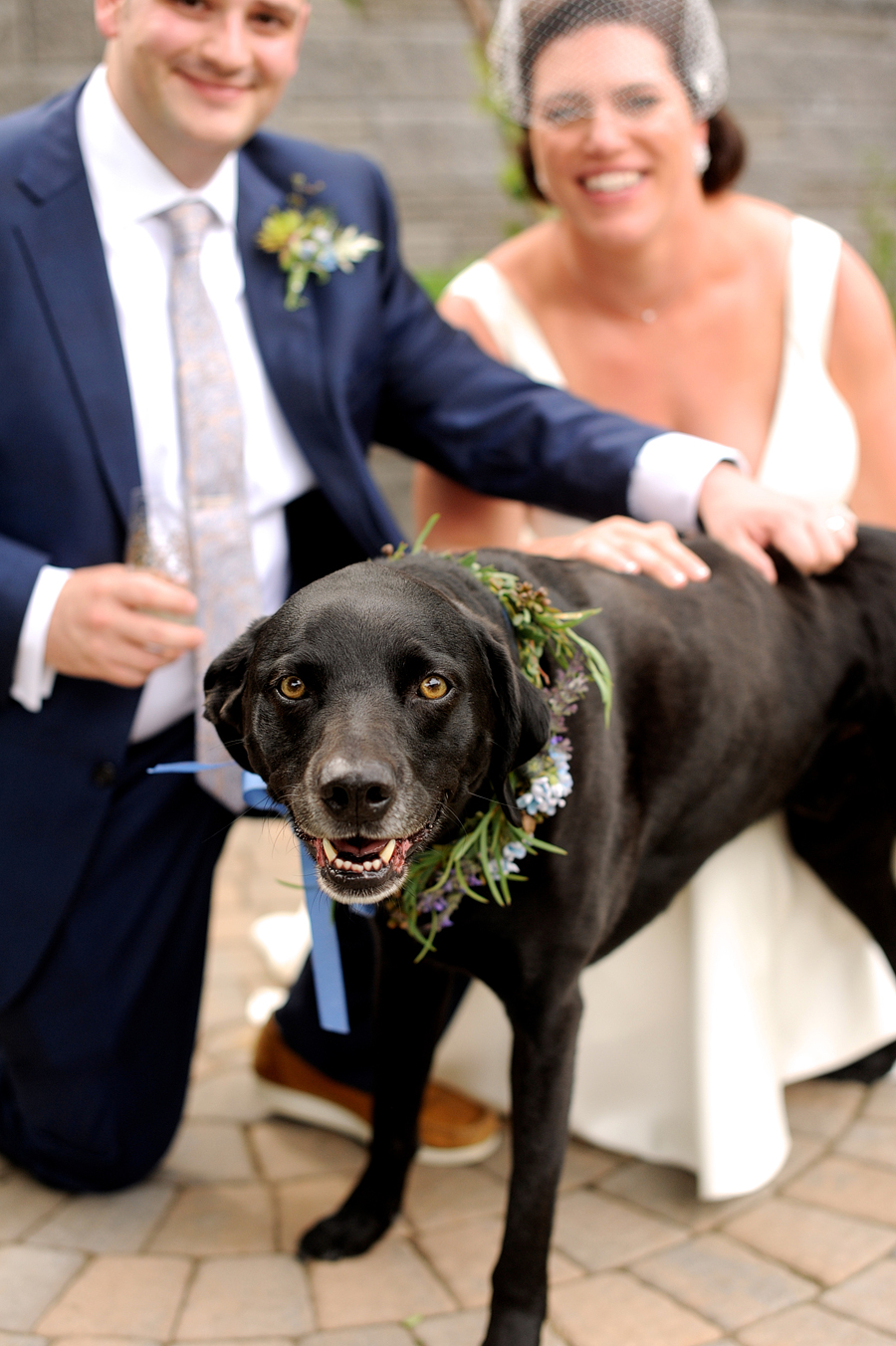 flower girl dog