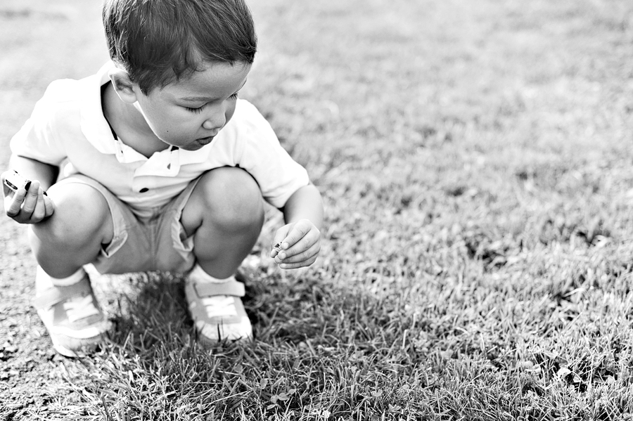 candid family photos in maine