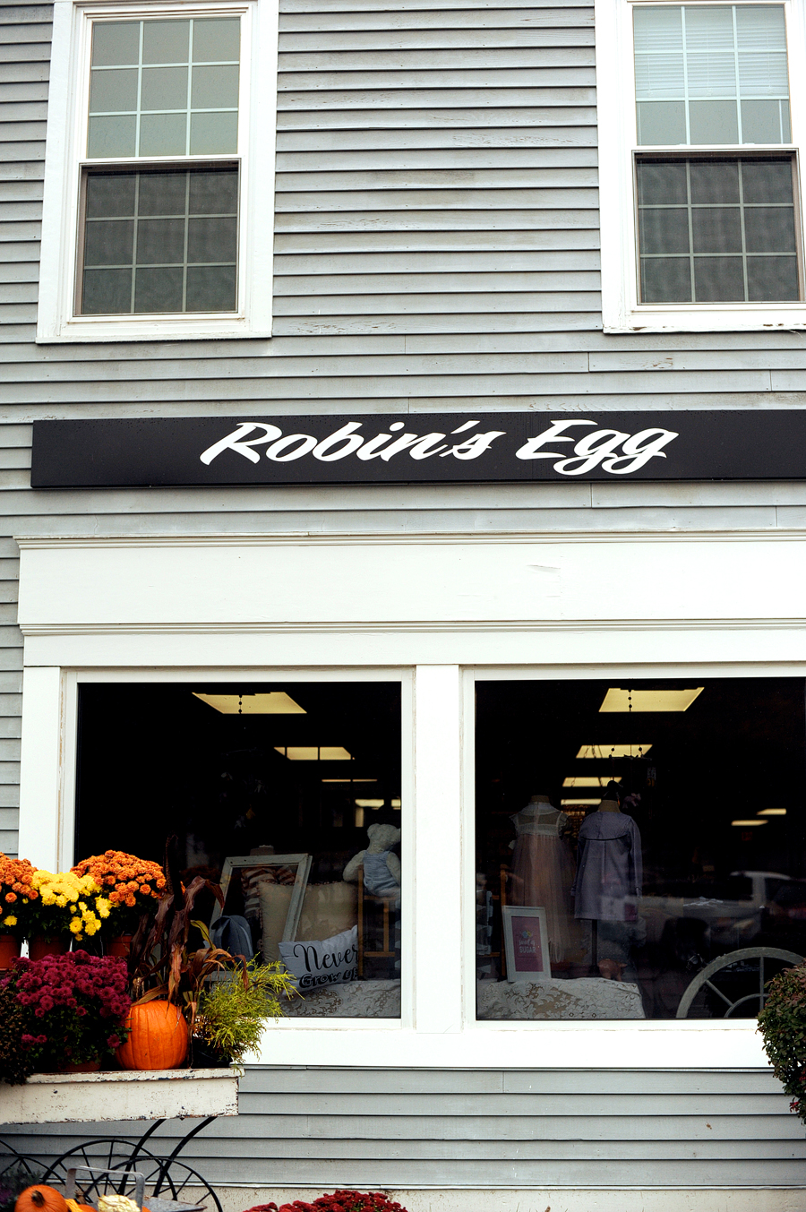 robin's egg antiques