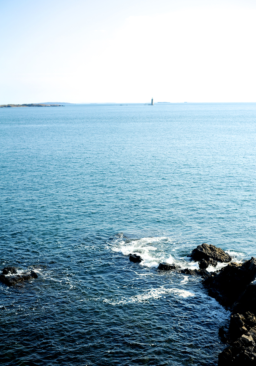 fort williams park