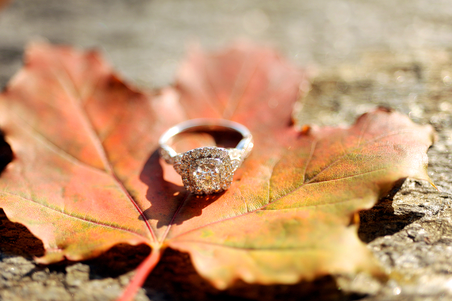 autumn engagement ring