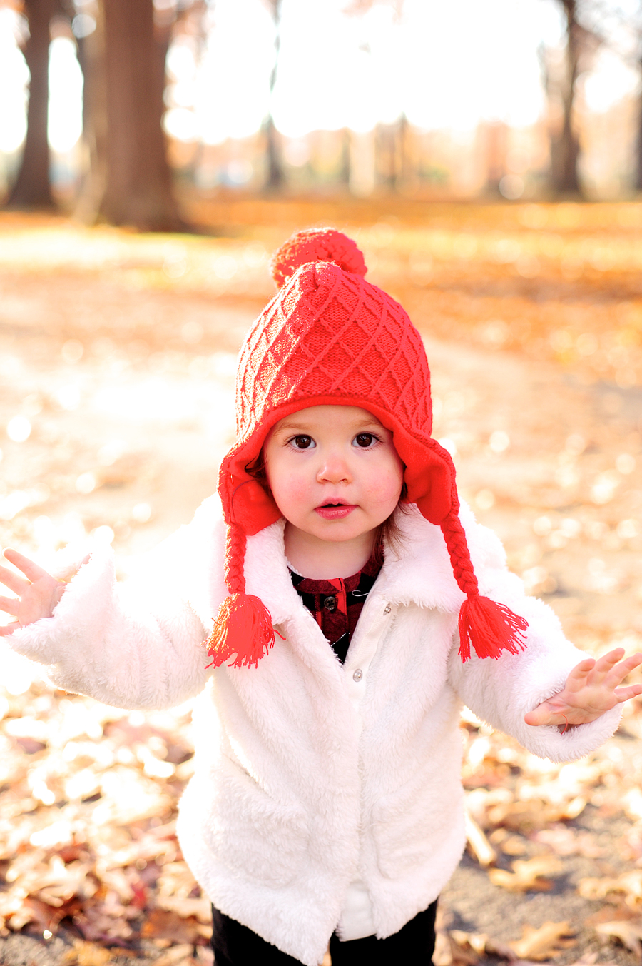 fall family session at deering oaks