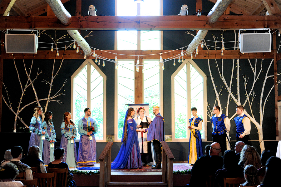 wedding at stone mountain arts center