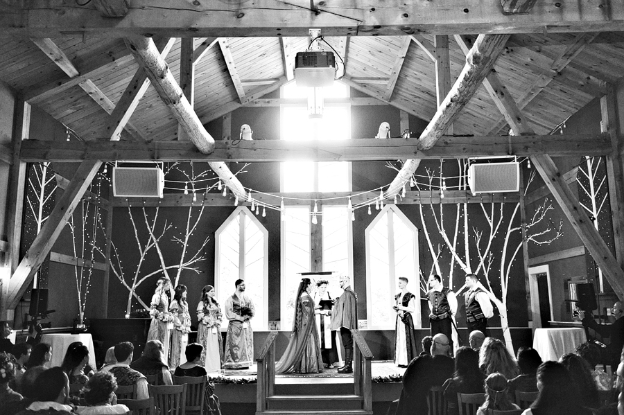 wedding at stone mountain arts center