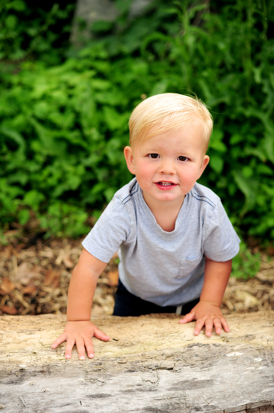 baby photos in portland, maine