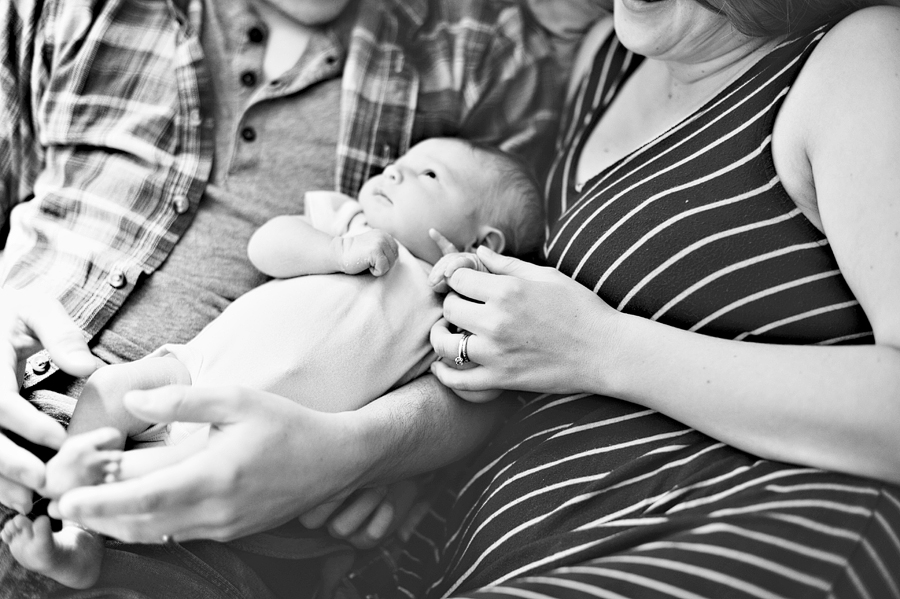 hollis, maine newborn photos