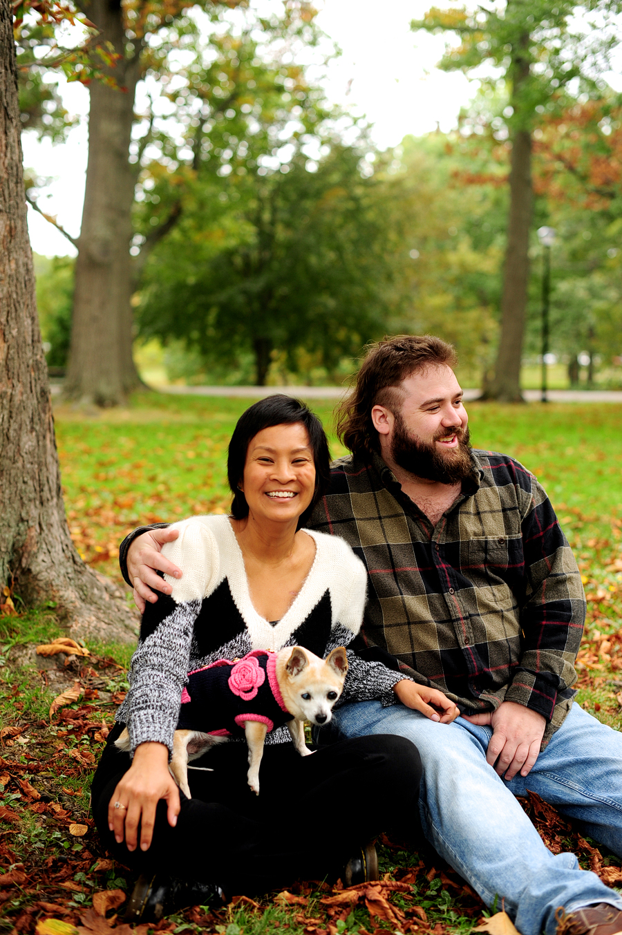 dog photos in maine