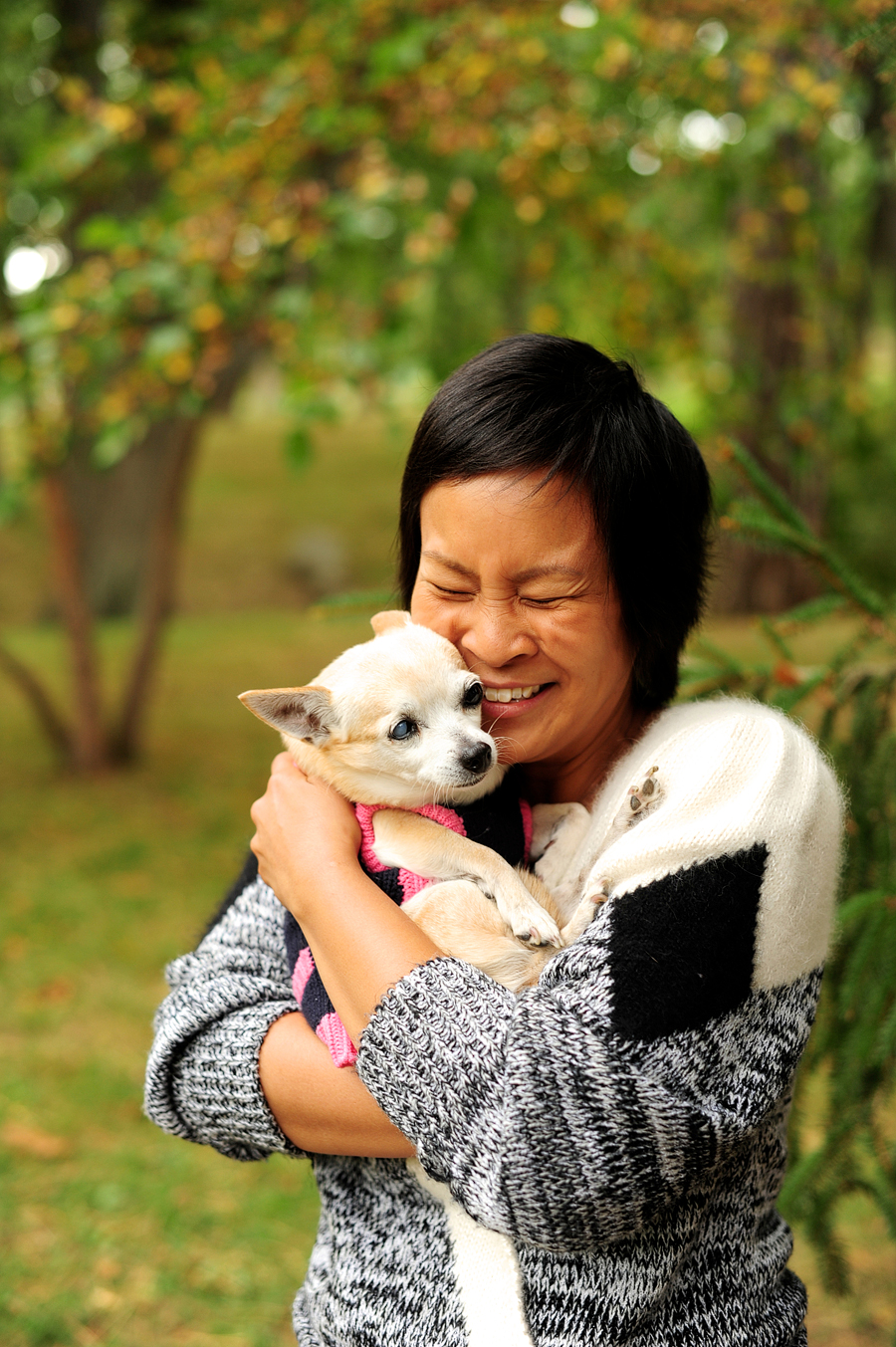 portland, maine dog portraits