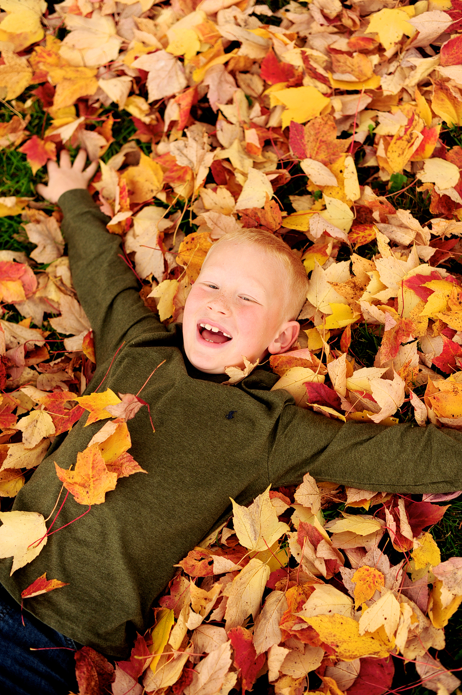 fall family photos in maine