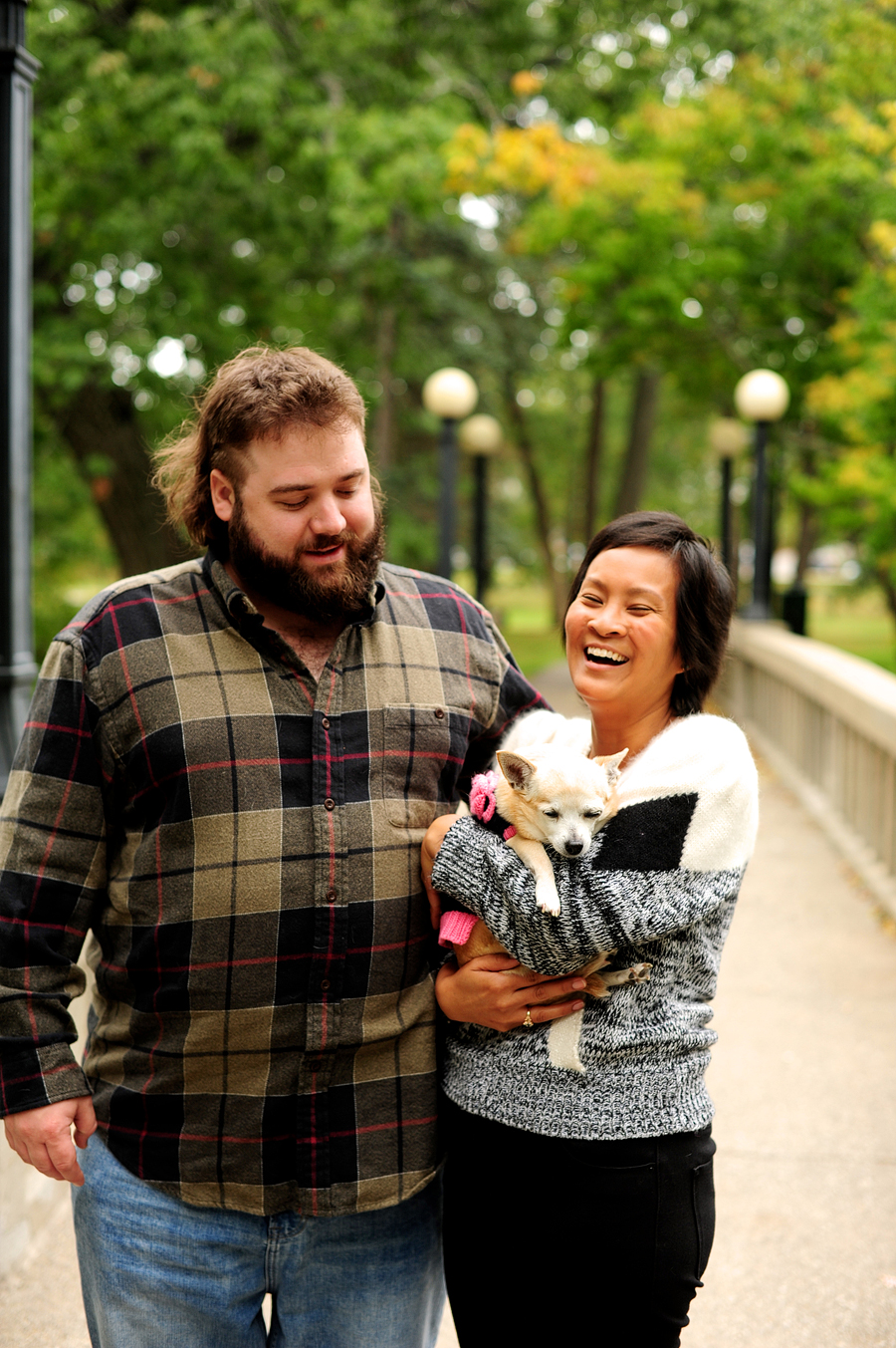 portland, maine dog portraits