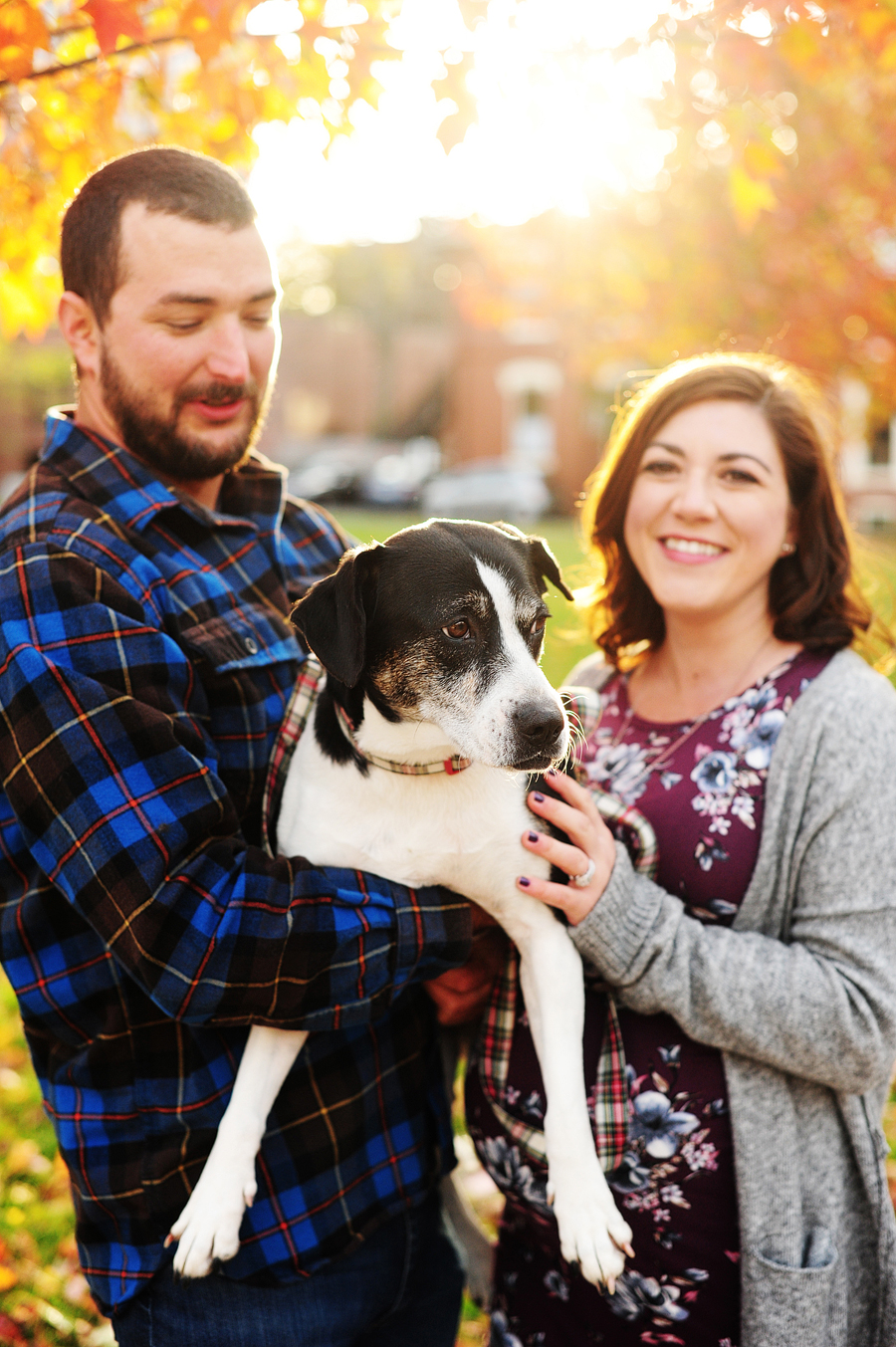 maternity photos with dog