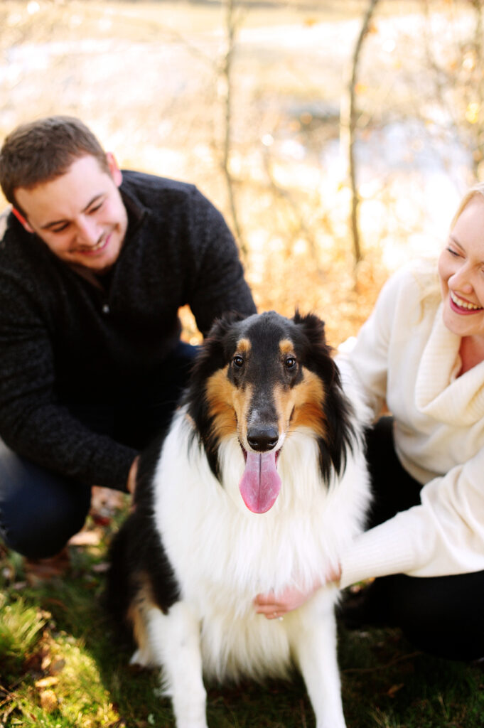 engagement photos with dog in portland maine
