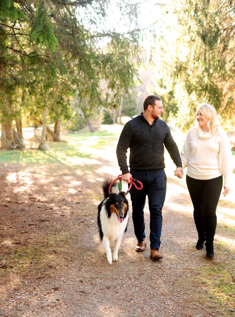 dog in engagement photos